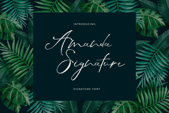 Amanda Signature: A Stylish Script Font for Modern Brand Campaigns