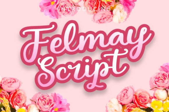 Felmay: A Vintage Script Font for Modern Web Design