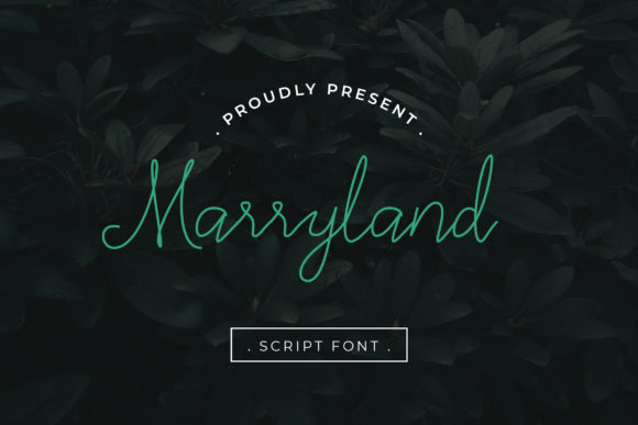 Marryland: A Stylish Script Font for Modern Brand Campaigns