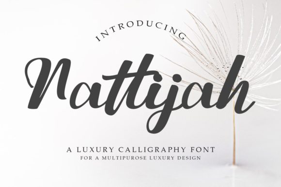 Nattijah: A Designer’s Take on Its Personality and Practical Use